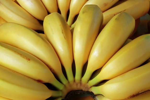 Foto primer plano de plátanos maduros en puesto en el mercado callejero