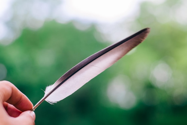 Foto primer plano de una pluma en la mano