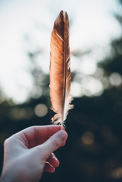 Foto primer plano de una pluma en la mano