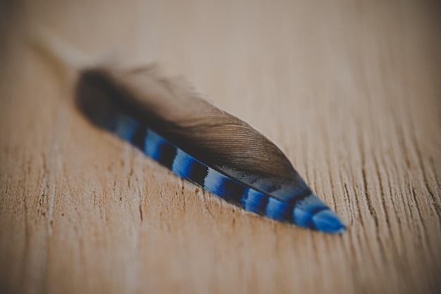 Foto primer plano de una pluma en la mesa