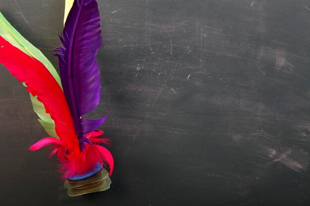 Foto primer plano de plumas de colores contra el tablero