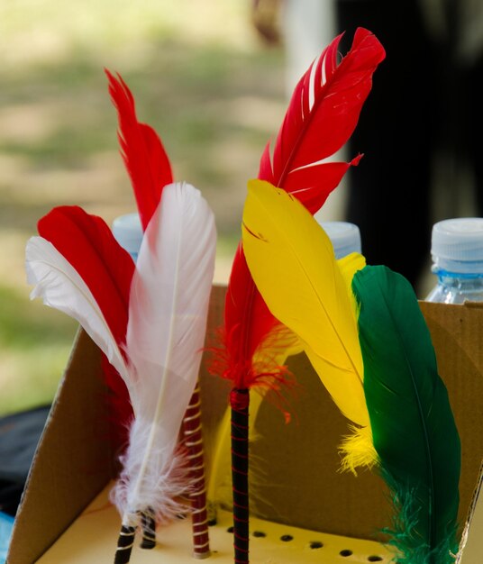 Foto primer plano de las plumas multicolores