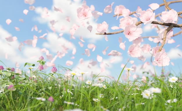 primer plano de la pradera primaveral y los cerezos en flor