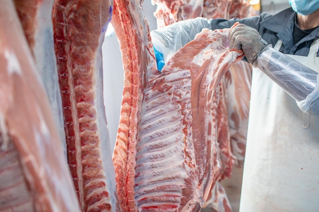 Foto primer plano del procesamiento de carne en la industria alimentaria el trabajador corta el almacenamiento de cerdo crudo en el refrigerador