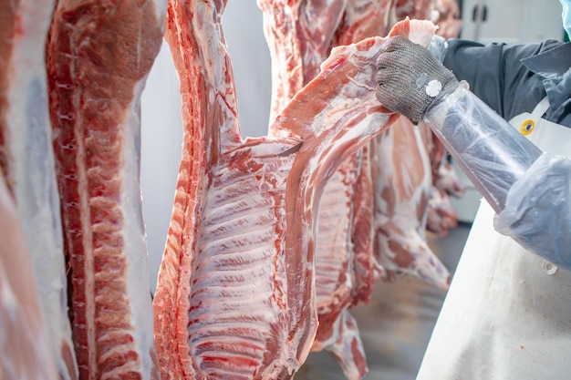 primer plano del procesamiento de carne en la industria alimentaria el trabajador corta el almacenamiento de cerdo crudo en el refrigerador