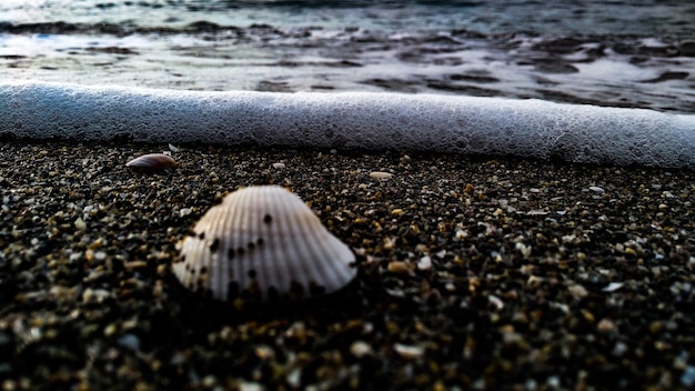 Foto primer plano de proyectiles en tierra en la playa