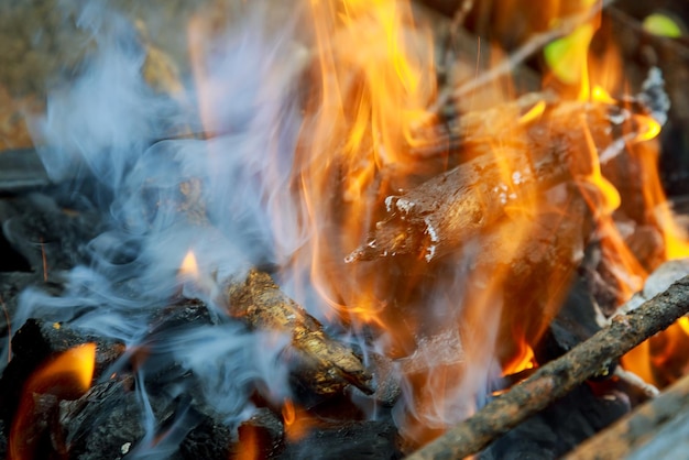 Primer plano de la quema de leña en el fuego