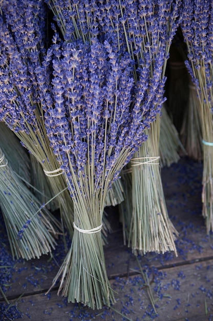 Foto primer plano de los racimos secos de flores de lavanda