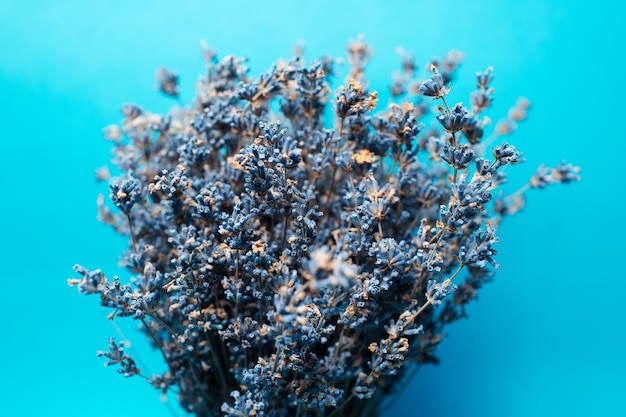 Primer plano de un ramo de flores de lavanda sobre fondo azul.