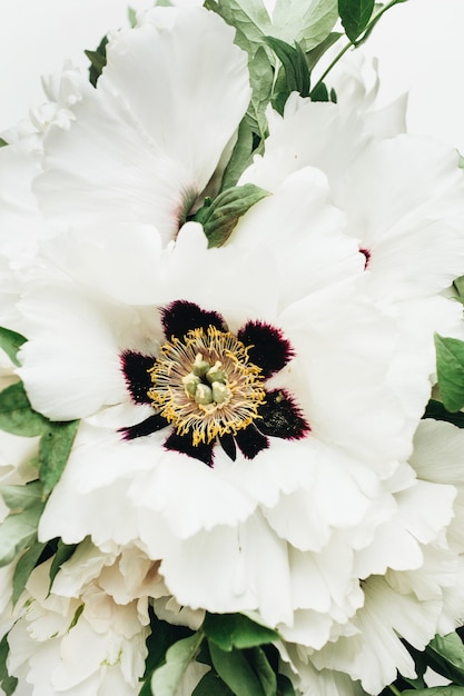 Primer plano de un ramo de flores de peonía blanca