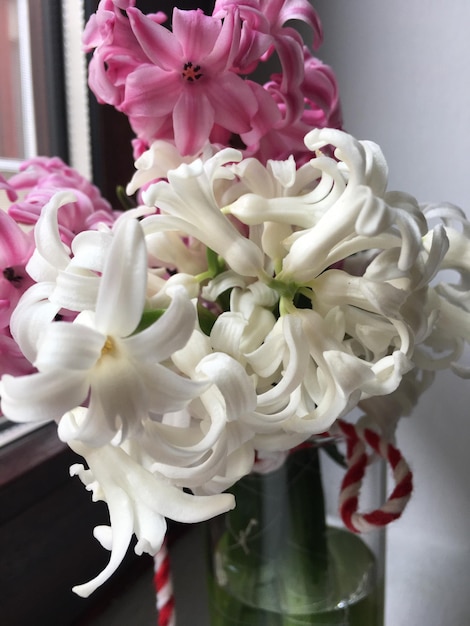 Primer plano de un ramo de flores