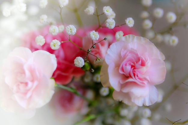 Primer plano de un ramo de flores