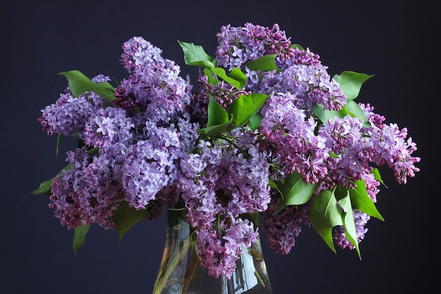 Primer plano de ramo de lila púrpura sobre un fondo oscuro telón de fondo floral natural flores de jardín