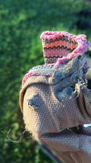 Foto primer plano de un reptil en un campo