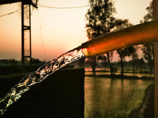 Foto primer plano de riego de árboles con tubo durante la puesta del sol