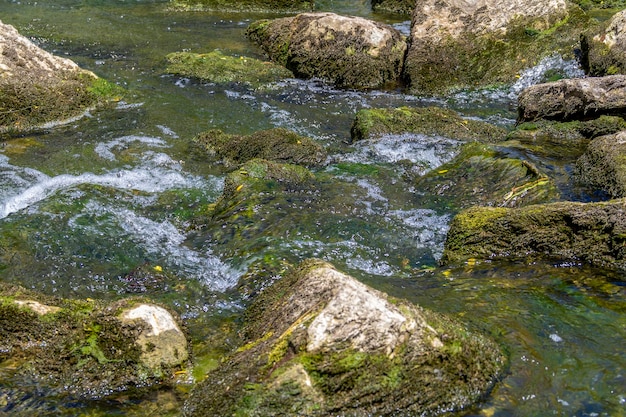 Un primer plano de Rivulet