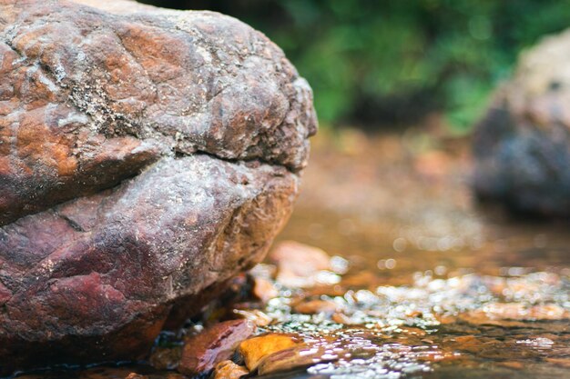 Foto primer plano de la roca en el agua