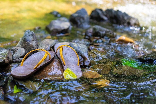 Primer plano de roca húmeda en el agua