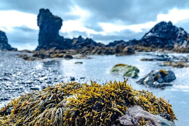 Foto primer plano de la roca por el mar contra el cielo