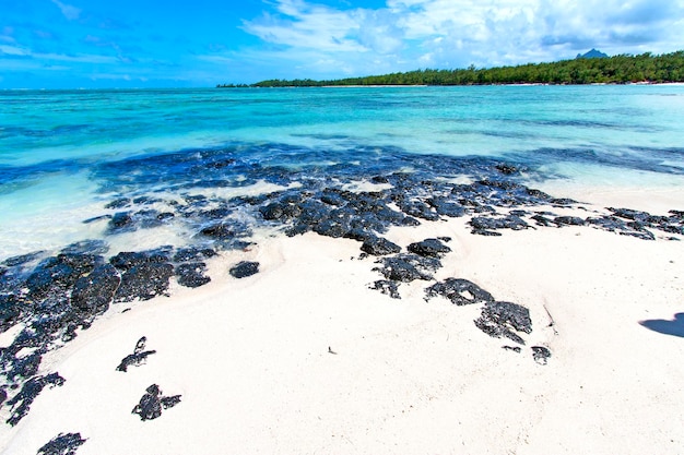 Foto primer plano de una roca negra en la arena de la playa