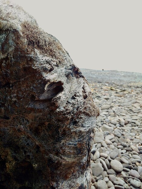 Foto primer plano de una roca en la playa contra un cielo despejado