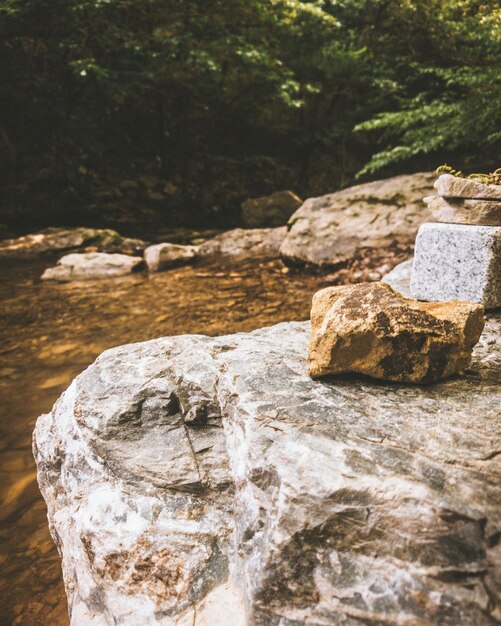 Foto primer plano de las rocas en el agua