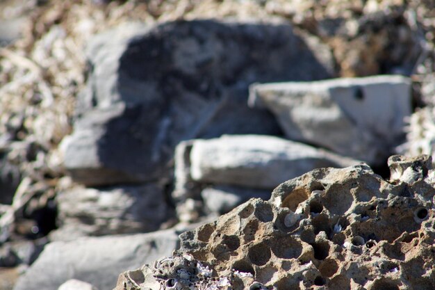 Primer plano de las rocas