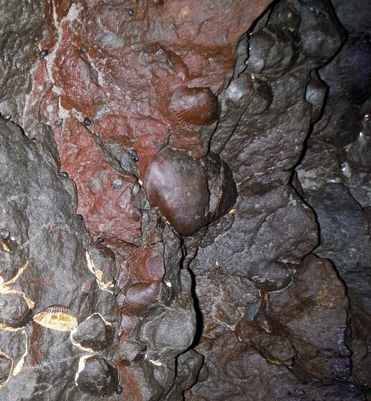 Foto primer plano de las rocas