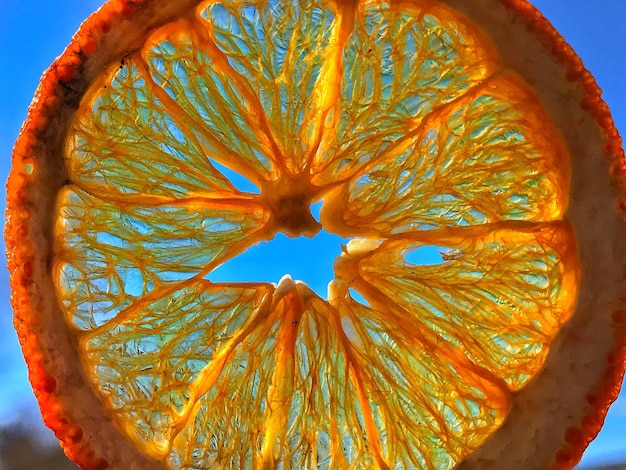 Foto primer plano de una rodaja de naranja seca contra el cielo