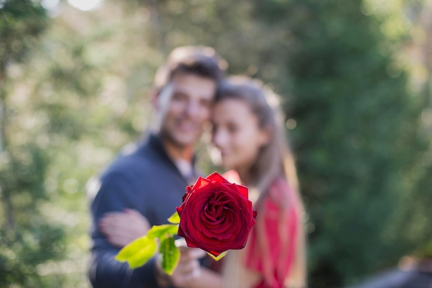 Primer plano de una rosa con una pareja en el fondo