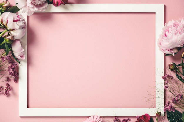 Primer plano de una rosa rosada contra una pared blanca