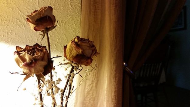 Foto primer plano de rosas marchitadas en el hogar