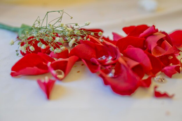 Foto primer plano de las rosas rojas en la mesa