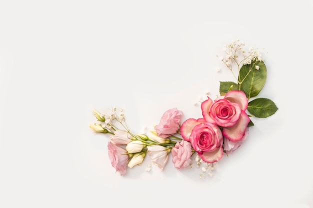 Primer plano de rosas rosadas contra un fondo blanco