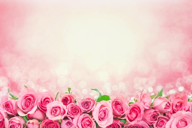 Un primer plano de las rosas rosadas