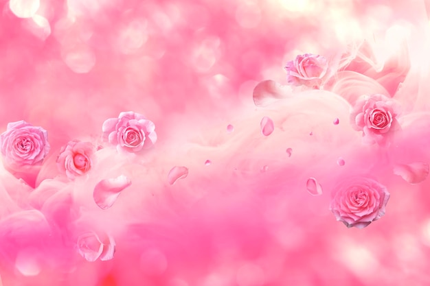 Un primer plano de las rosas rosadas