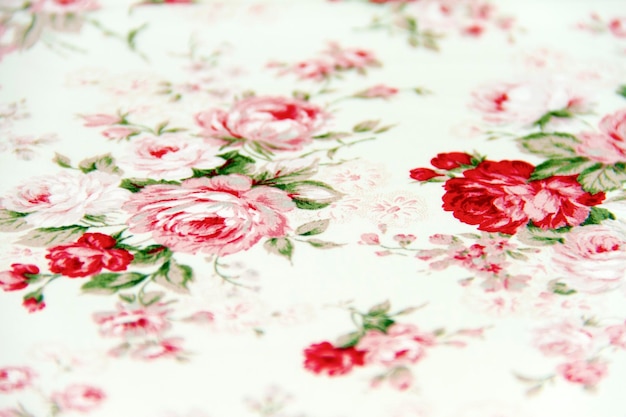Un primer plano de las rosas rosadas