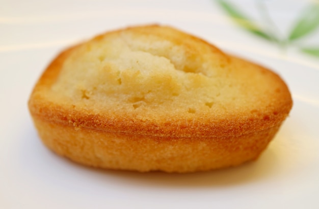 Primer plano de un sabroso pastel francés de almendras Petit-Four llamado Financier servido en la placa blanca.