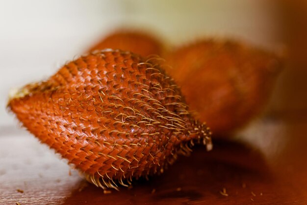 Primer plano de salak o fruta de serpiente