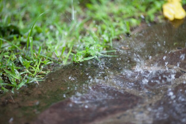 Foto primer plano de las salpicaduras de agua de lluvia en el agua por campo