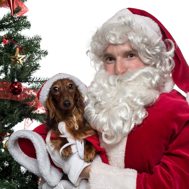 Primer plano de Santa Claus sosteniendo un perro faldero aislado en blanco