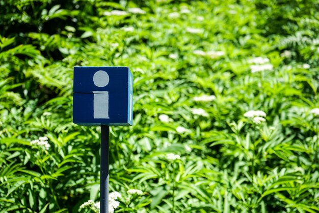 Primer plano de una señal de tráfico frente a las plantas