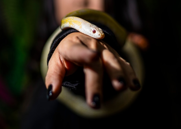 Primer plano de una serpiente en el brazo de un modelo.
