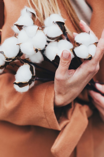 Primer plano sobre un ramo de algodón en manos femeninas