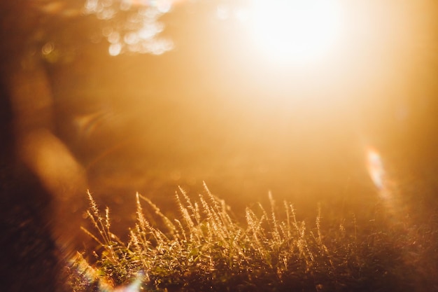 Foto primer plano del sol iluminado durante la puesta del sol