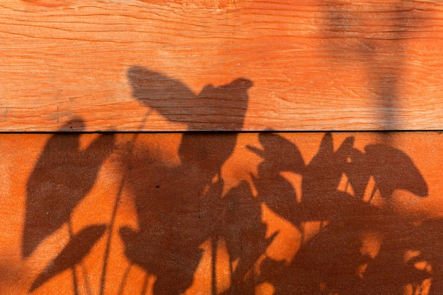 Foto primer plano de la sombra en la pared de ladrillo