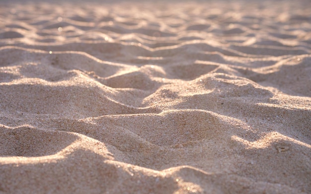 Primer plano de la superficie de arena amarilla limpia que cubre la playa junto al mar iluminada con la luz del atardecer Concepto de viajes y vacaciones