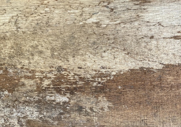 Foto un primer plano de una superficie de madera con la palabra madera