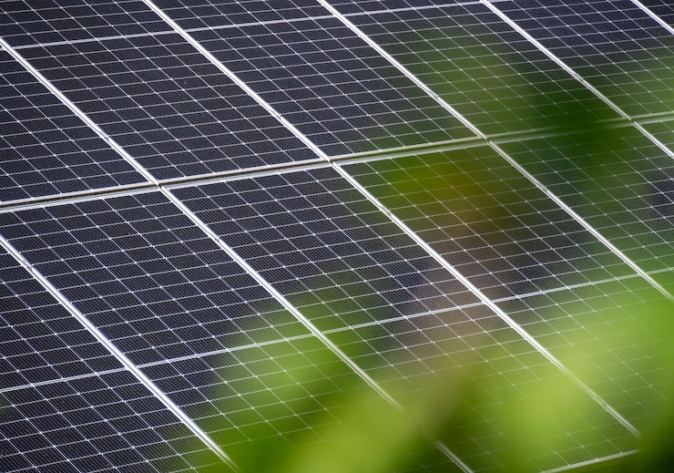 Primer plano de la superficie del panel solar con vegetación natural