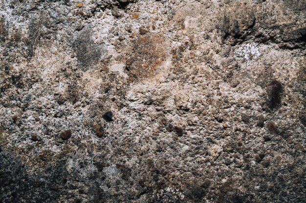 Un primer plano de una superficie rugosa con un muro de piedra y una piedra marrón y blanca.
